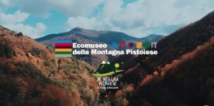 Il respiro della foresta | Escursione @ parcheggio della Casetta Pulledrari (Maresca)